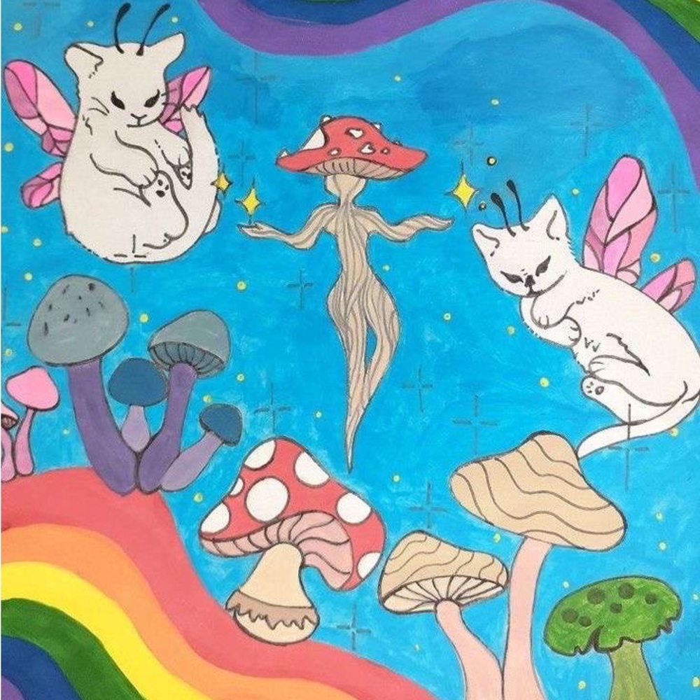 Meet your Posher, Hollie